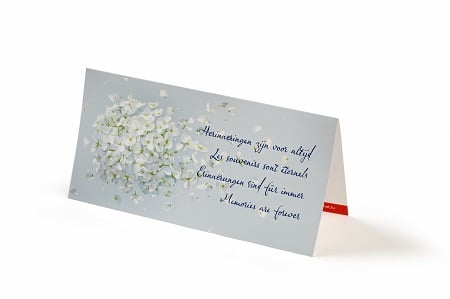 Wenskaart herinneringen zijn voor altijd lr