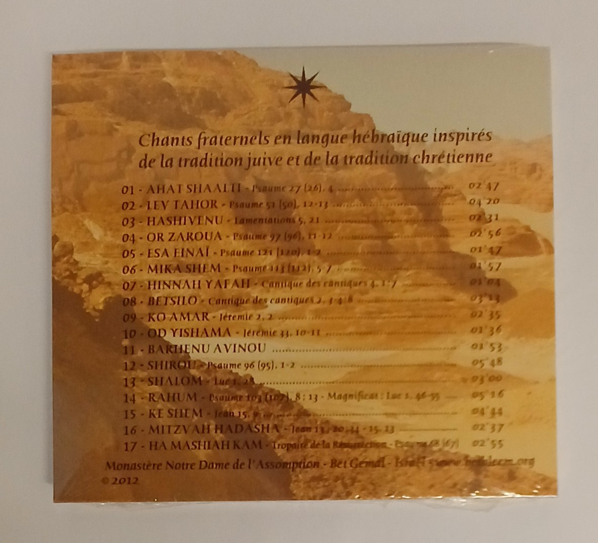 Cd ‚stimme ruft in der wüste‘ 2 Cd ‚stimme ruft in der wüste‘ – bild 2